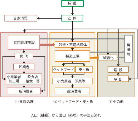 入口（捕獲）から出口（処理）の手法と流れ