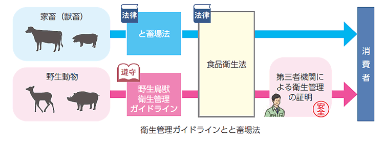 衛生管理ガイドラインとと畜場法