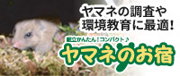ヤマネのお宿
