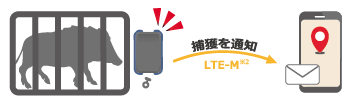 説明文