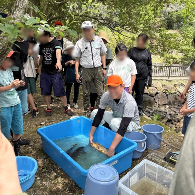 ひょうごフィールドパビリオン
「千丈寺湖の恵みがもてなす体験型観光プログラム」

青野ダムの魚道で、いきもの採集のお手伝いをしてきました！
たくさんの魚が取れて、子どもたちも大人も大盛り上がり。
自然の中で学び、遊び、触れあう体験は、参加者の皆さんにとっても、きっと忘れられない一日になったのではないかと思います。

#isseieco #株式会社一成 #自然環境 #自然 #三田
#青野ダム #魚道 #ひょうごフィールドパビリオン
#千丈寺湖 #いきもの採集 #体験型観光 #自然体験