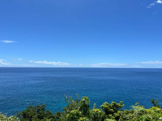 先日、屋久島を訪問しました。
　青く美しい海から、パワーをもらってとても元気になりました☻
　雨が降ったりやんだり、同じ屋久島内でも地域によってころころと変わる天気が印象深かったです。
　島の中心部には迫力のある山々が集まっていて、とてもかっこよく、しっかりと心を奪われました。
　そして、初めてのヤクシカ肉料理をお店で見発見しました。とてもおいしかったので、滞在中三度も食べました！
　屋久島の方々の暖かさにたくさん触れられた、とても印象深い滞在でした。
　また様々な季節の屋久島を感じに、必ず訪れたいと思います。

#isseieco #株式会社一成 #屋久島#ヤクシカ#屋久島国立公園#国立公園#自然