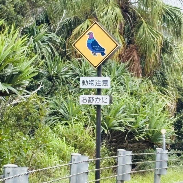 【小笠原渡島記④】

ご当地道路標識⚠️

父島には普段見慣れない道路標識がたくさんありました。😮☄

ぱっと見て何に注意すればよいか分かりますか？？？

#株式会社一成
#isseieco
#環境調査
#生物調査
#環境コンサルタント
#環境教育
#環境に関わる仕事
#自然に関わる仕事
#ビオトープ
#SDGs
#自然環境
#野生動物
#生き物好き
#自然観察
#生き物観察
#インターンシップ
#自然好き
#生態系
#生物多様性
#森林
#河川
#里山
#小笠原
#渡島記
#標識