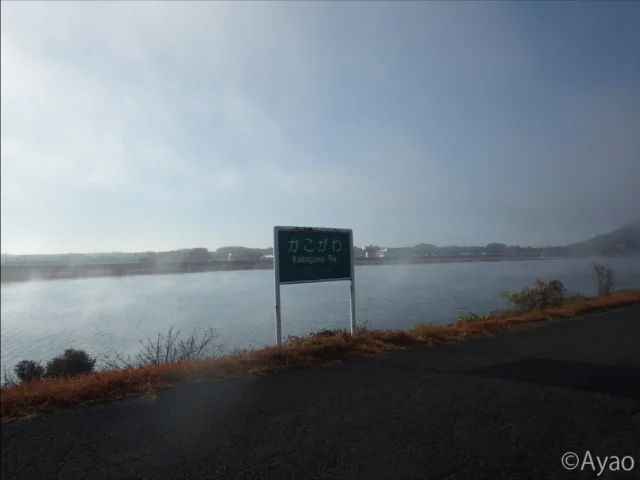 .
通勤途上、会社近くの上荘橋に差しかかると、川霧が発生し、視界が悪くなっていました。
気温と加古川の水温差によって、まるで湯気が立ちのぼっているようです。
この景色を見ると、冬の訪れを実感します。

#株式会社一成
#isseieco
#環境調査
#生物調査
#環境コンサルタント
#環境教育
#環境に関わる仕事
#自然に関わる仕事
#ビオトープ
#SDGs
#自然環境
#野生動物
#生き物好き
#自然観察
#生き物観察
#インターンシップ
#自然好き
#生態系
#生物多様性
#森林
#河川
#里山
#上荘橋 
#川霧 
#冬の訪れ